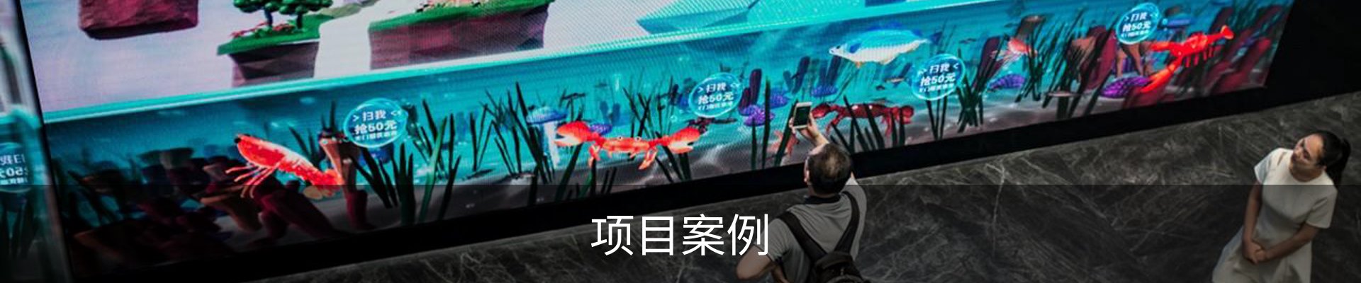 项目案例